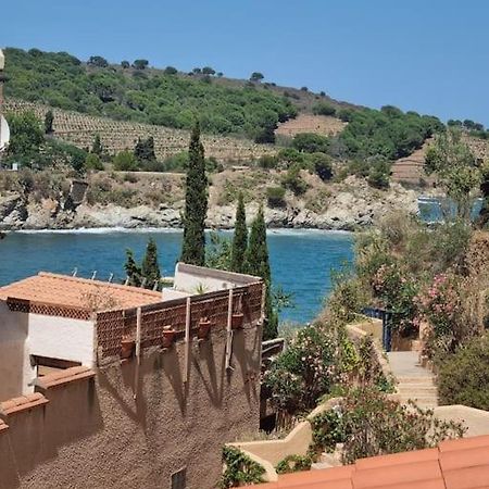 Studio Acces Direct A La Plage Banyuls-sur-Mer Εξωτερικό φωτογραφία
