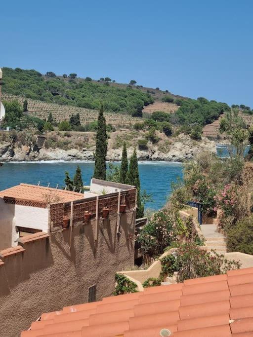 Studio Acces Direct A La Plage Banyuls-sur-Mer Εξωτερικό φωτογραφία